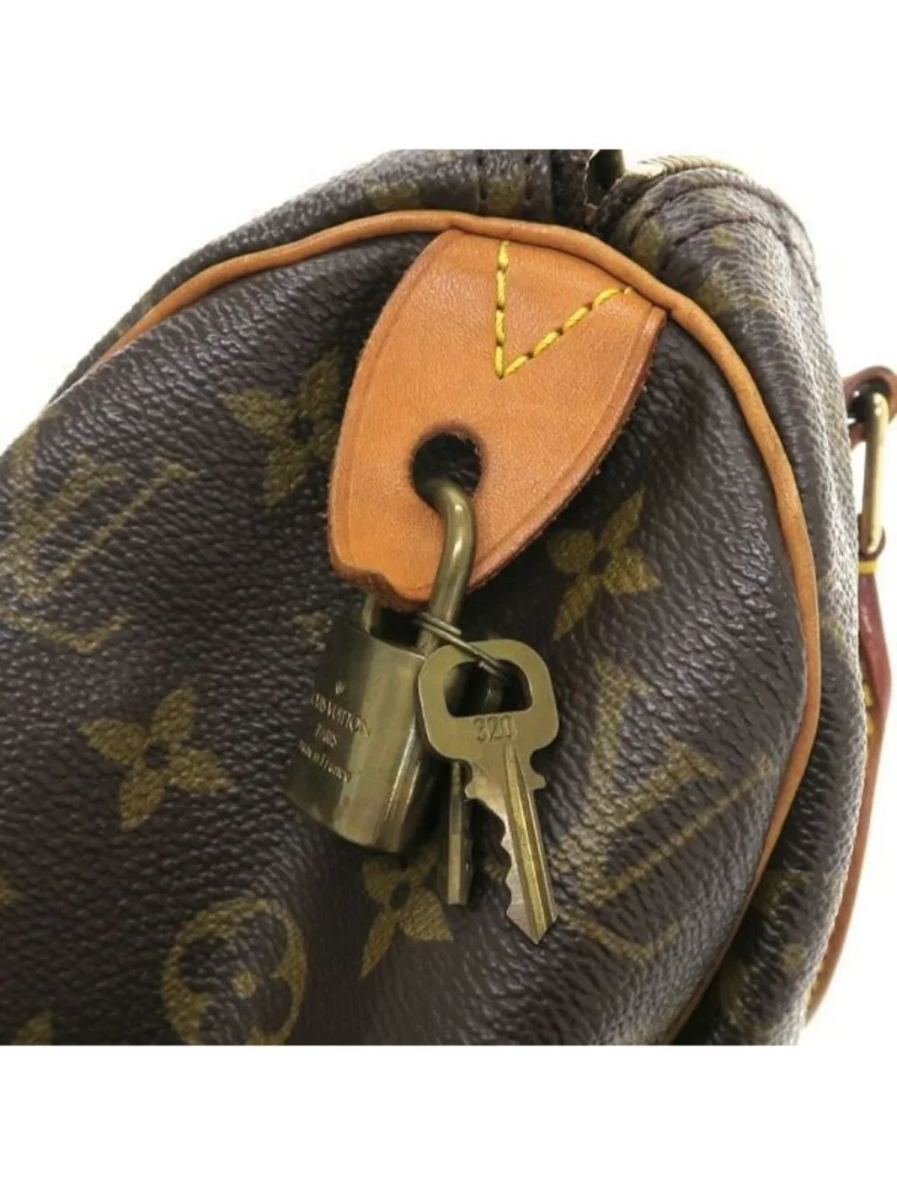 Louis Vuitton brand louis